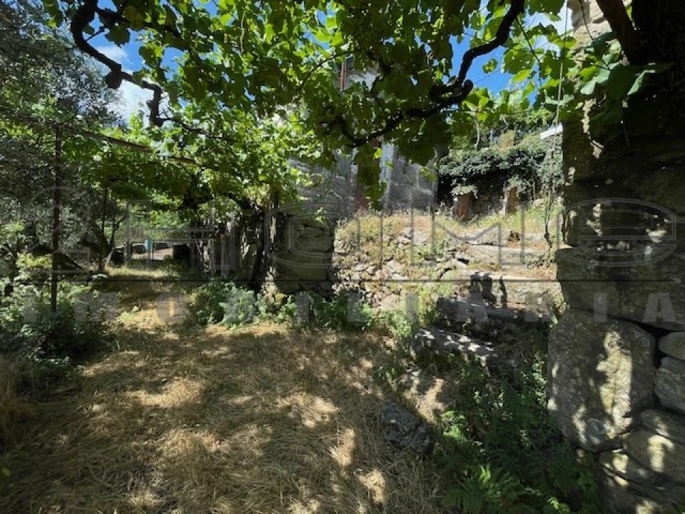 Moradia para Venda em Oliveira do Douro Foto 5