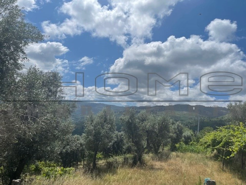 Moradia para Venda em Oliveira do Douro Foto 14