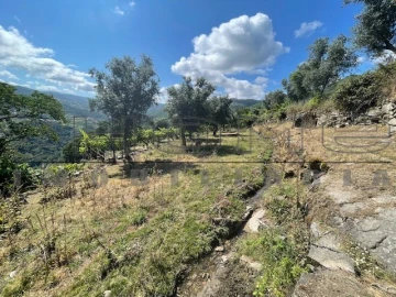 Moradia para Venda em Oliveira do Douro