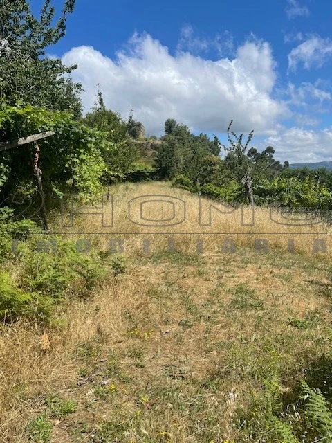 Moradia para Venda em Oliveira do Douro