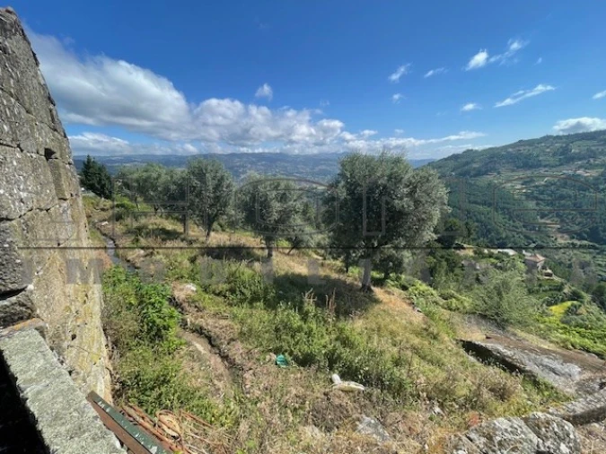 Moradia para Venda em Oliveira do Douro Foto 5