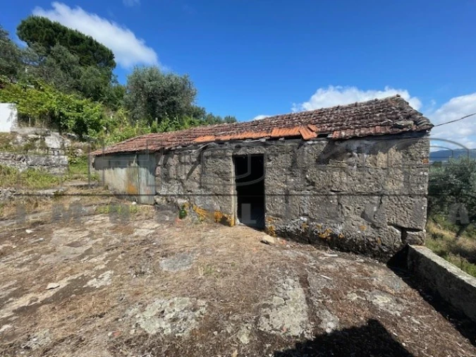 Moradia para Venda em Oliveira do Douro Foto 3