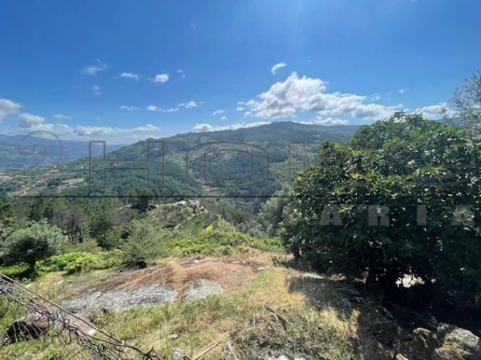 Moradia para Venda em Oliveira do Douro Foto 9