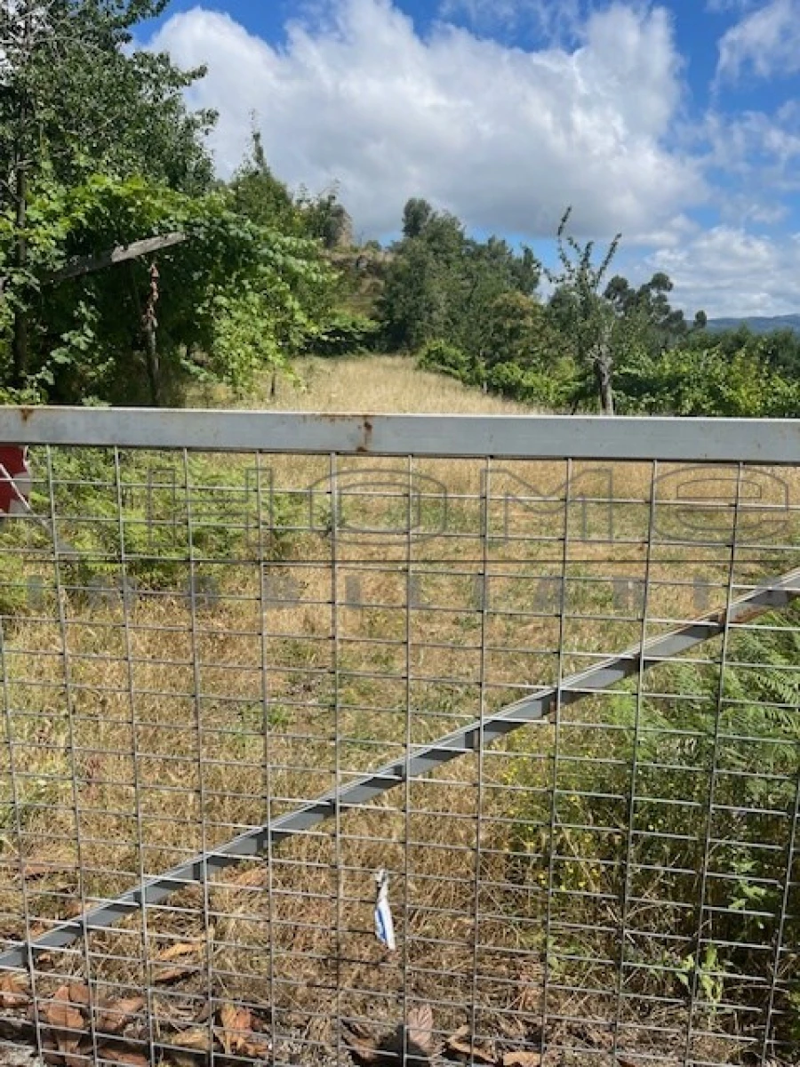 Moradia para Venda em Oliveira do Douro Foto 13