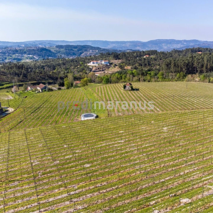 Quinta T3 para Venda em Lufrei Foto 3