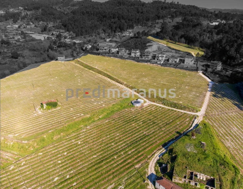 Quinta T3 para Venda em Lufrei Foto 4