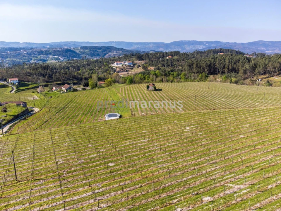 Quinta T3 para Venda em Lufrei Foto 5