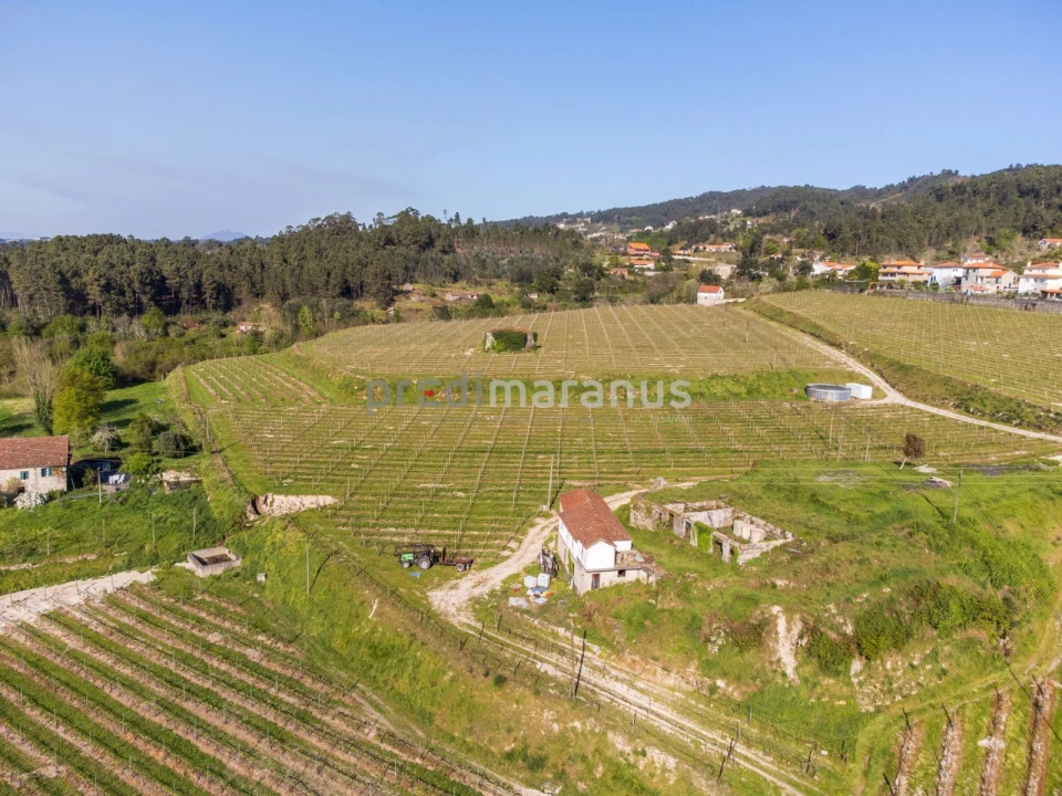 Quinta T3 para Venda em Lufrei Foto 7