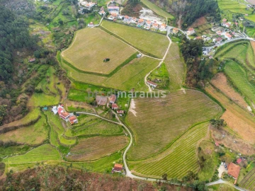 Quinta T3 para Venda em Lufrei