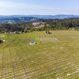 Quinta T3 para Venda em Lufrei