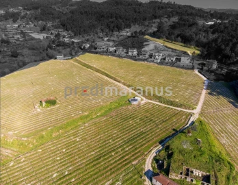 Quinta T3 para Venda em Lufrei