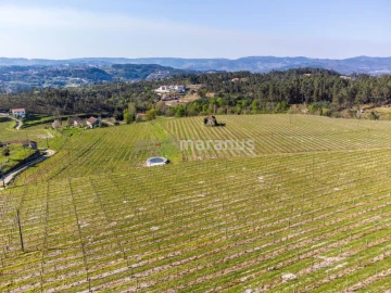 Quinta T3 para Venda em Lufrei