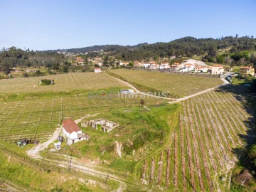 Quinta T3 para Venda em Lufrei