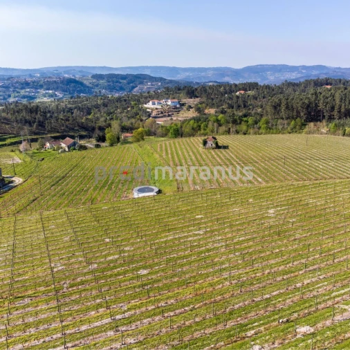 Quinta T3 para Venda em Lufrei Foto 3