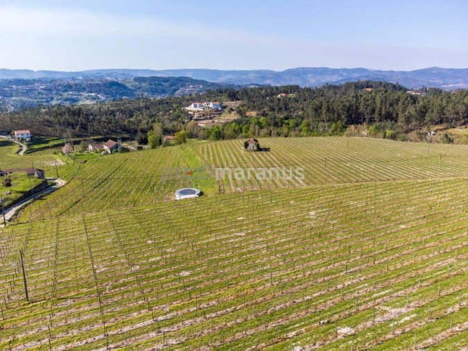 Quinta T3 para Venda em Lufrei Foto 5