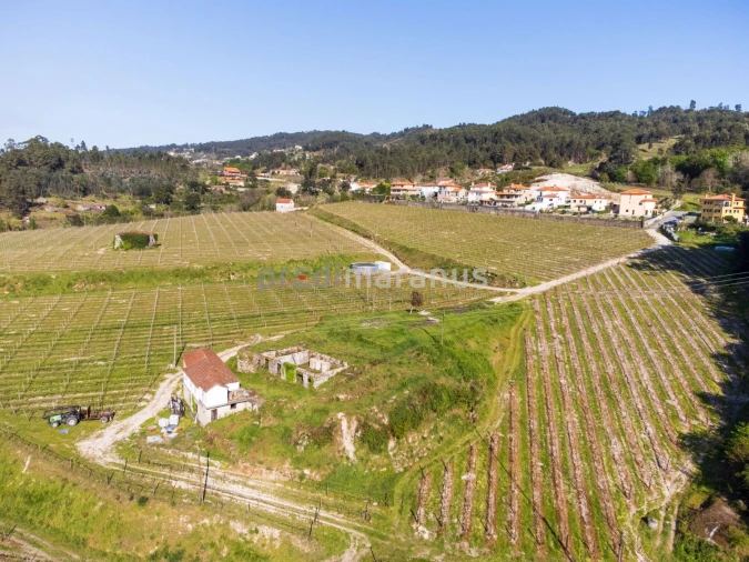 Quinta T3 para Venda em Lufrei Foto 6