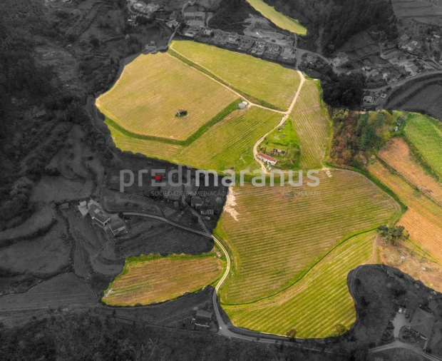 Quinta T3 para Venda em Lufrei Foto 8