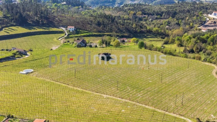 Quinta T3 para Venda em Lufrei