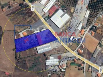 Armazém para Venda em Nogueira