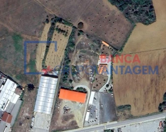 Armazém para Venda em Nogueira