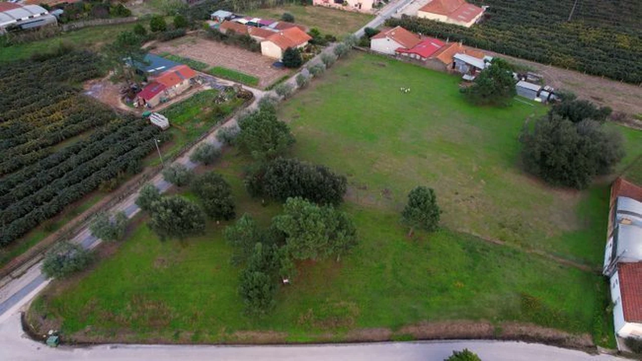 Terreno Agricola ou Rústico para Venda em Amoreira da Gândara, Paredes do Bairro e Ancas Foto 1