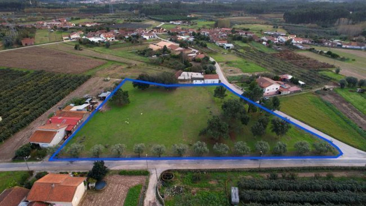 Terreno Agricola ou Rústico para Venda em Amoreira da Gândara, Paredes do Bairro e Ancas Foto 2