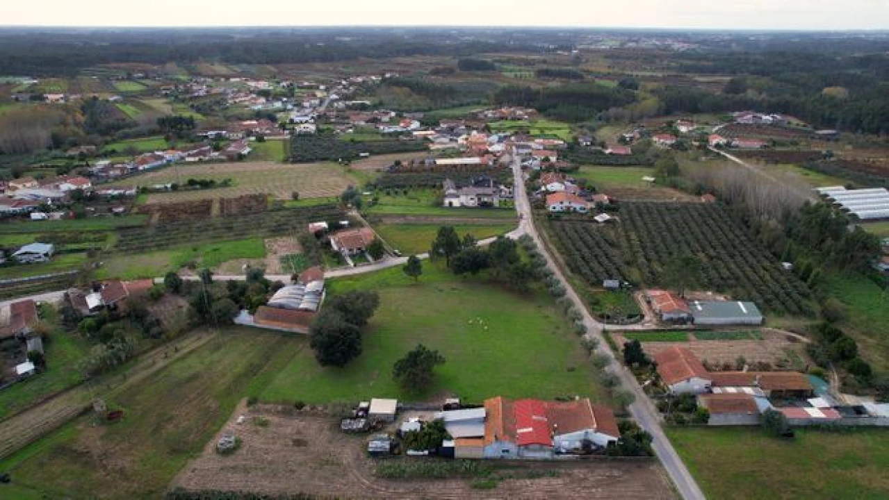 Terreno Agricola ou Rústico para Venda em Amoreira da Gândara, Paredes do Bairro e Ancas Foto 4