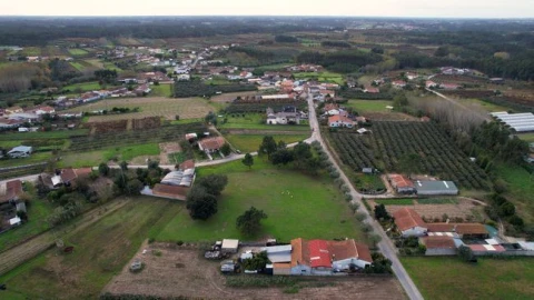 Terreno Agricola ou Rústico para Venda em Amoreira da Gândara, Paredes do Bairro e Ancas