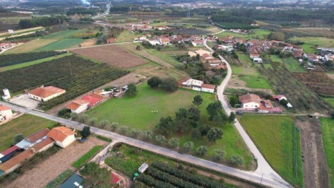 Terreno Agricola ou Rústico para Venda em Amoreira da Gândara, Paredes do Bairro e Ancas