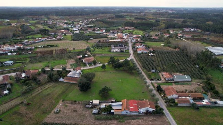 Terreno Agricola ou Rústico para Venda em Amoreira da Gândara, Paredes do Bairro e Ancas Foto 4