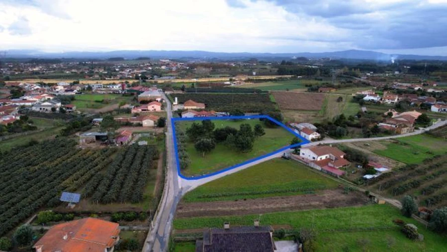 Terreno Agricola ou Rústico para Venda em Amoreira da Gândara, Paredes do Bairro e Ancas Foto 7