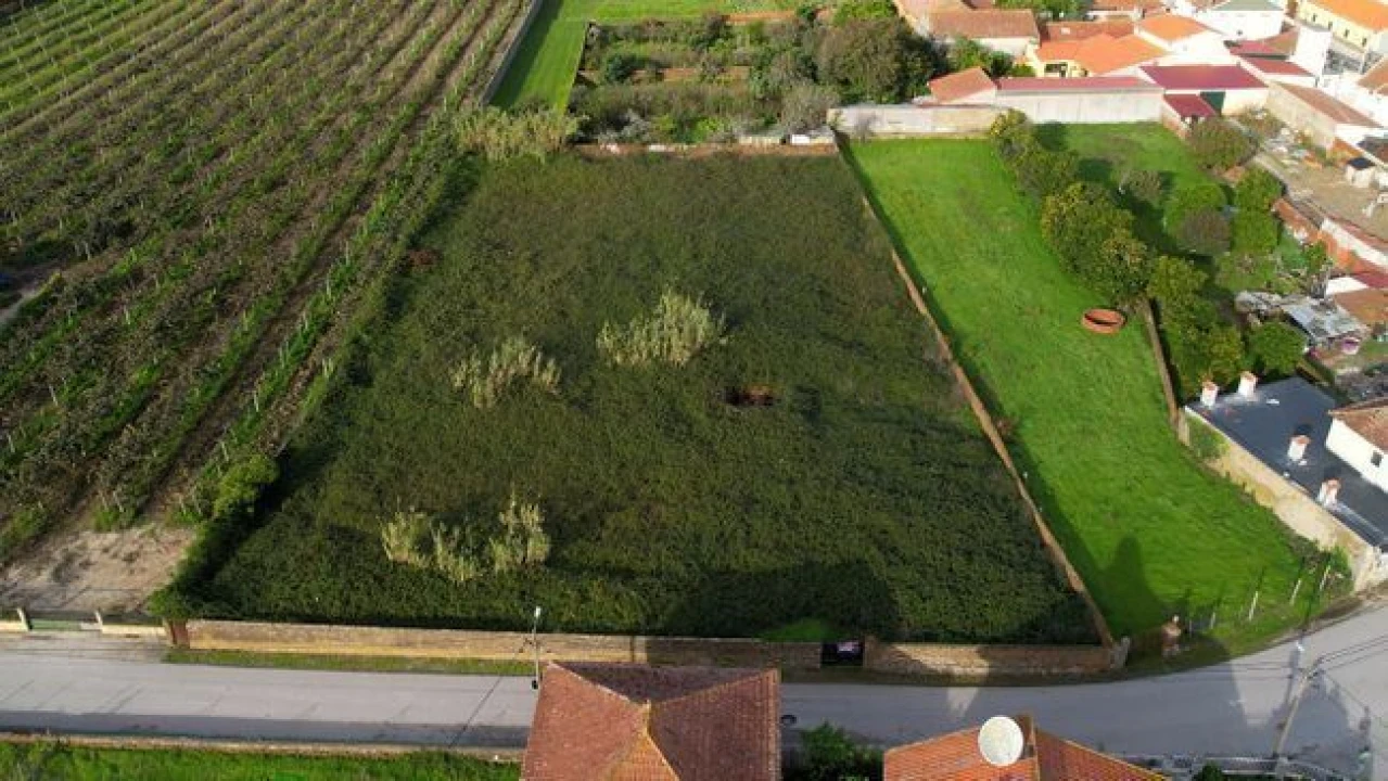 Terreno Agricola ou Rústico para Venda em Amoreira da Gândara, Paredes do Bairro e Ancas Foto 3