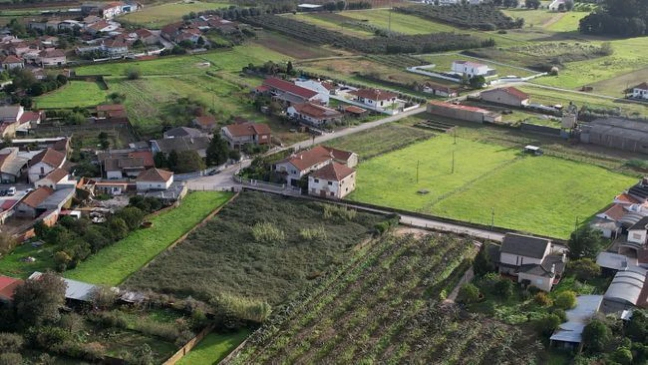 Terreno Agricola ou Rústico para Venda em Amoreira da Gândara, Paredes do Bairro e Ancas Foto 6