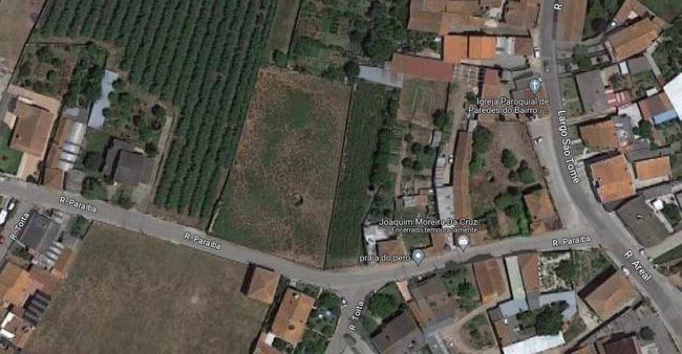 Terreno Agricola ou Rústico para Venda em Amoreira da Gândara, Paredes do Bairro e Ancas Foto 13