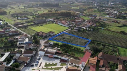 Terreno Agricola ou Rústico para Venda em Amoreira da Gândara, Paredes do Bairro e Ancas