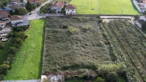 Terreno Agricola ou Rústico para Venda em Amoreira da Gândara, Paredes do Bairro e Ancas