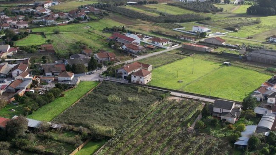 Terreno Agricola ou Rústico para Venda em Amoreira da Gândara, Paredes do Bairro e Ancas Foto 6