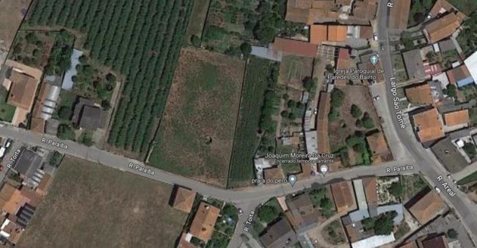 Terreno Agricola ou Rústico para Venda em Amoreira da Gândara, Paredes do Bairro e Ancas Foto 13