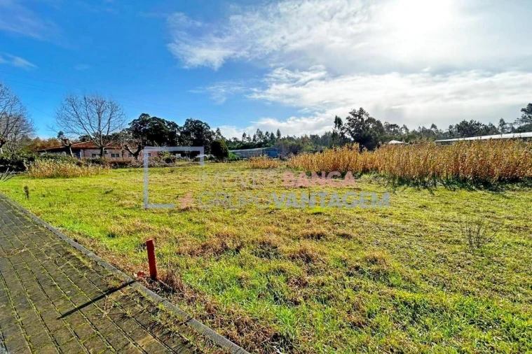 Terreno para Venda em Fonte de Angeão e Covão do Lobo Foto 2
