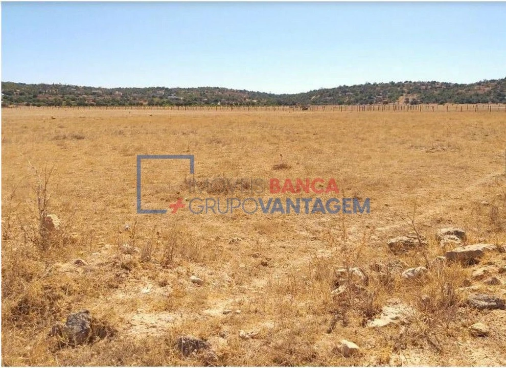 Terreno Agricola ou Rústico para Venda em Algoz e Tunes Foto 4