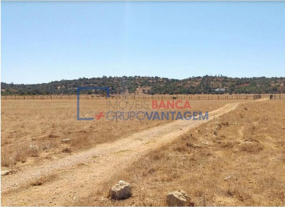 Terreno Agricola ou Rústico para Venda em Algoz e Tunes Foto 2