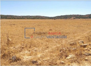 Terreno Agricola ou Rústico para Venda em Algoz e Tunes