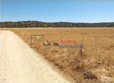 Terreno Agricola ou Rústico para Venda em Algoz e Tunes