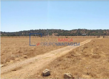 Terreno Agricola ou Rústico para Venda em Algoz e Tunes