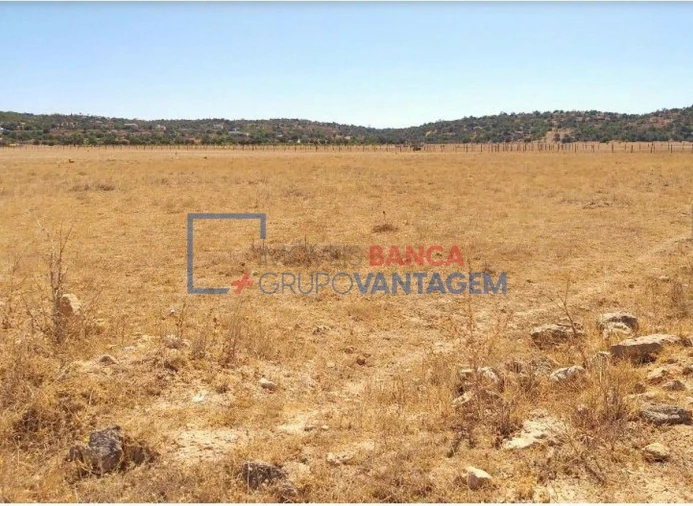 Terreno Agricola ou Rústico para Venda em Algoz e Tunes Foto 5