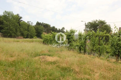 Terreno para Venda em Moreira do Rei e Várzea Cova