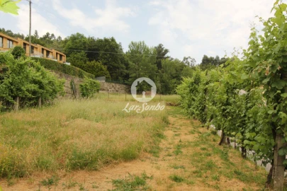 Terreno para Venda em Moreira do Rei e Várzea Cova