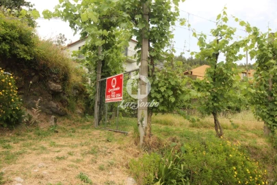 Terreno para Venda em Moreira do Rei e Várzea Cova