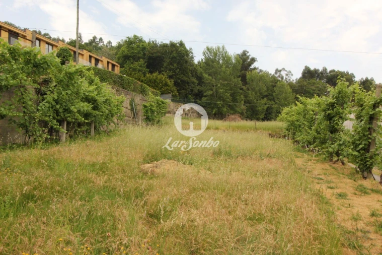 Terreno para Venda em Moreira do Rei e Várzea Cova Foto 5