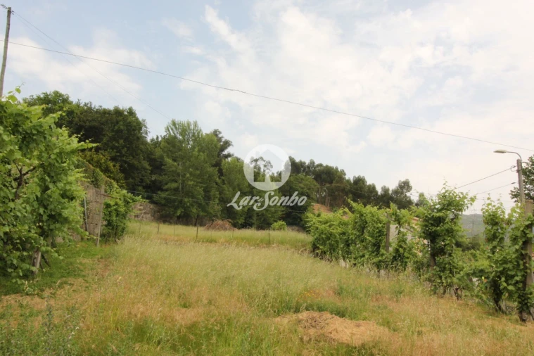Terreno para Venda em Moreira do Rei e Várzea Cova Foto 8